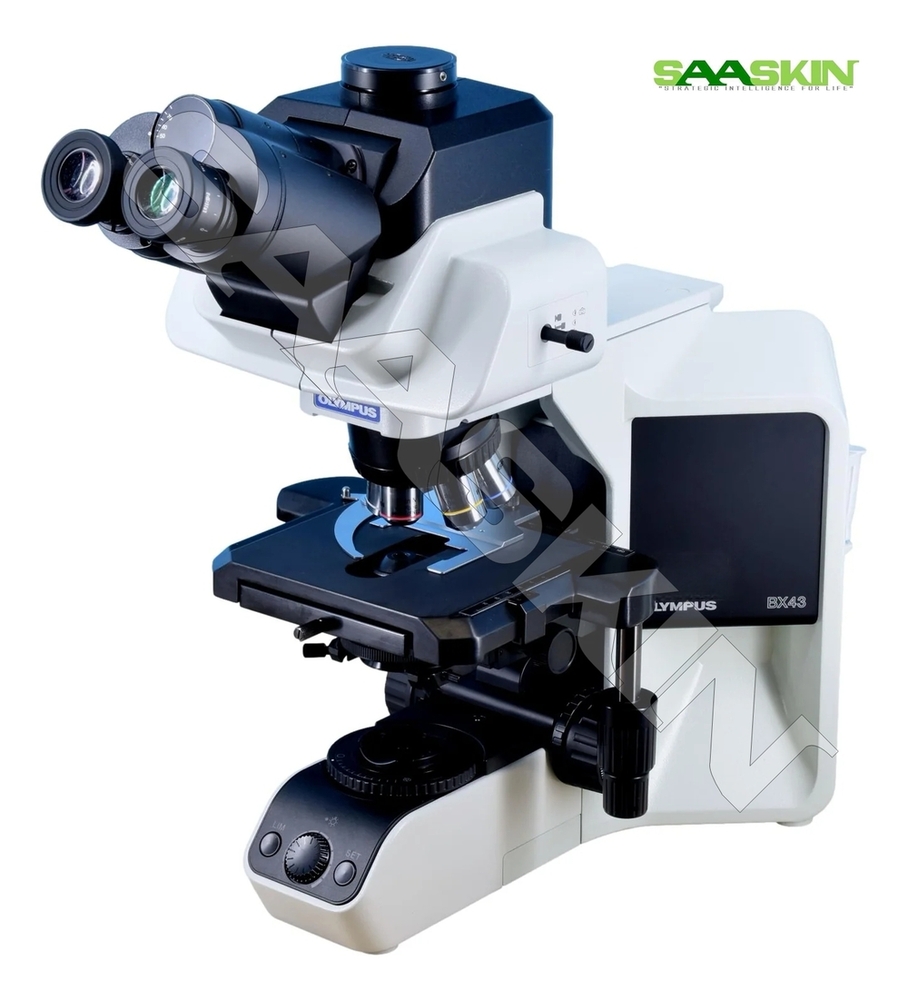 Olympus Bx43 System Microscope