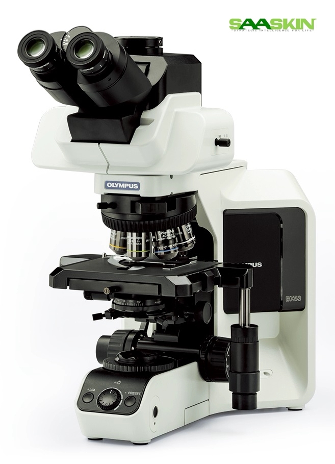 Olympus Bx53 System Microscope