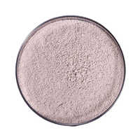 Bacillus Subtilis