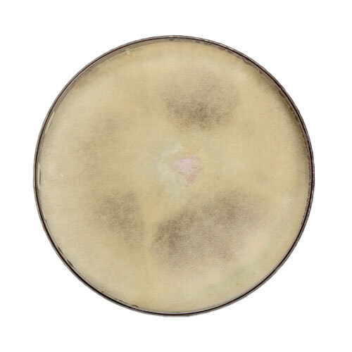 Verticillium Lecanii Dextrose Carrier - Grade: Industrial Grade