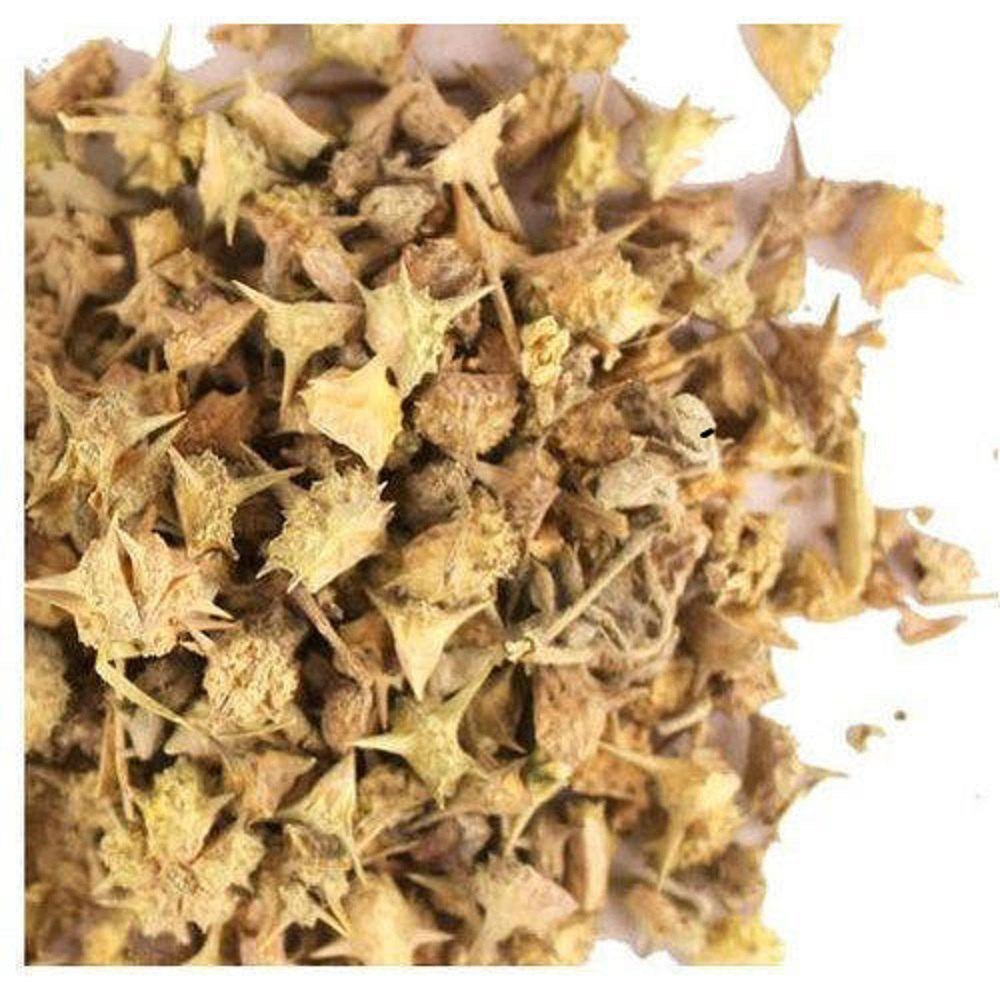Gokhru Dry Extract - Color: Brown