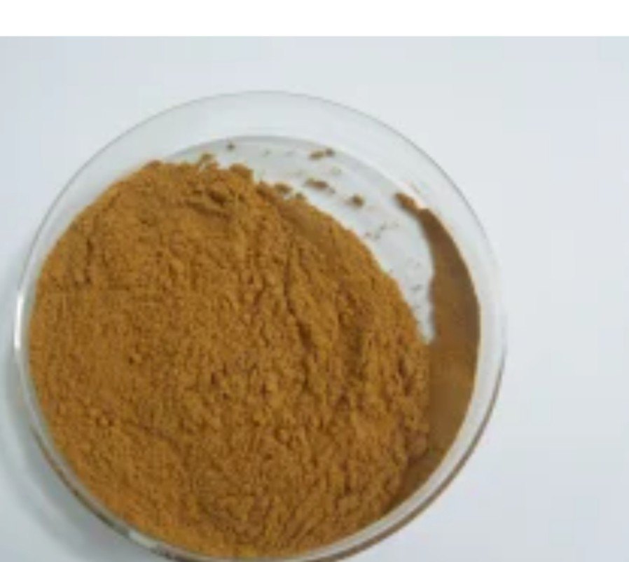 Gokhru Dry Extract - Color: Brown