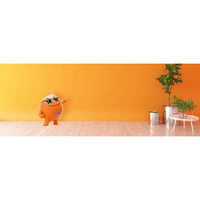 3.6 L Nippon Breeze Star Interior Emulsion Paint