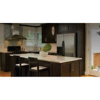 Nippon Paint Satin Enamel Paint