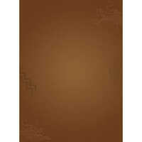 4 L Nippon Paint Wood Magic Paint