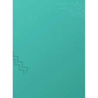 4 L Nippon Paint Aqua Primer