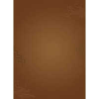 1 L Nippon Paint Wood Magic Paint