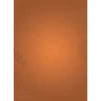 1 L Nippon Paint Cleartone PU Wood Finish Paint
