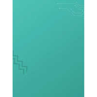 1 L Nippon Paint Aqua Primer