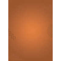 4 L Nippon Paint Cleartone PU Wood Finish Paint