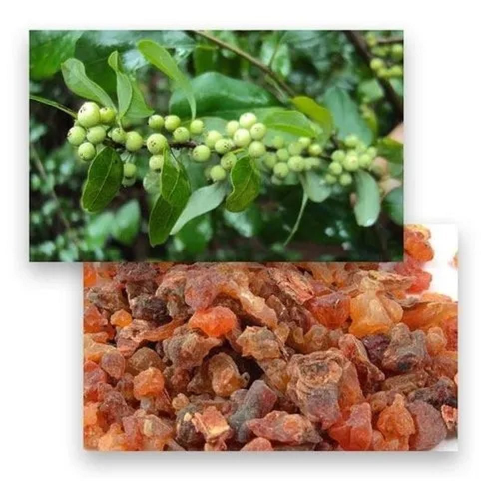 Guggulosterone Extract Powder - Color: Brown