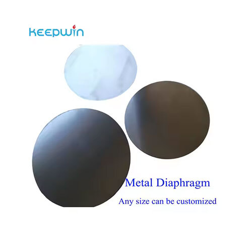 Helium Gas Diaphragm Compressor SUS631 - SUS321- 316L SUS 301 Mechanical Seal High Pressure Gas Oil Diaphragm
