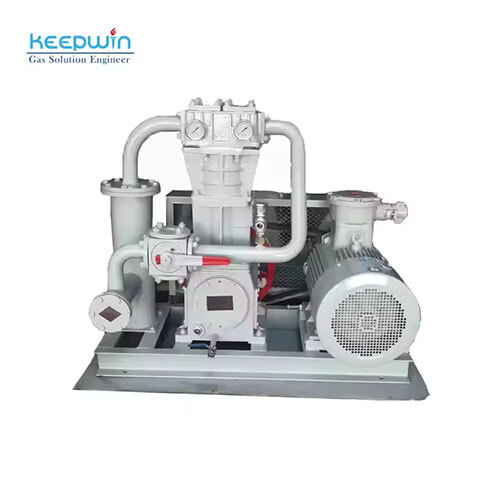 60M3-H Zw-0.95-10-16 Ammonia Gas Compressor Lng Lpg Gas Booster Pump Nh3 Gas Compressor With Cutr Motor - Color: White