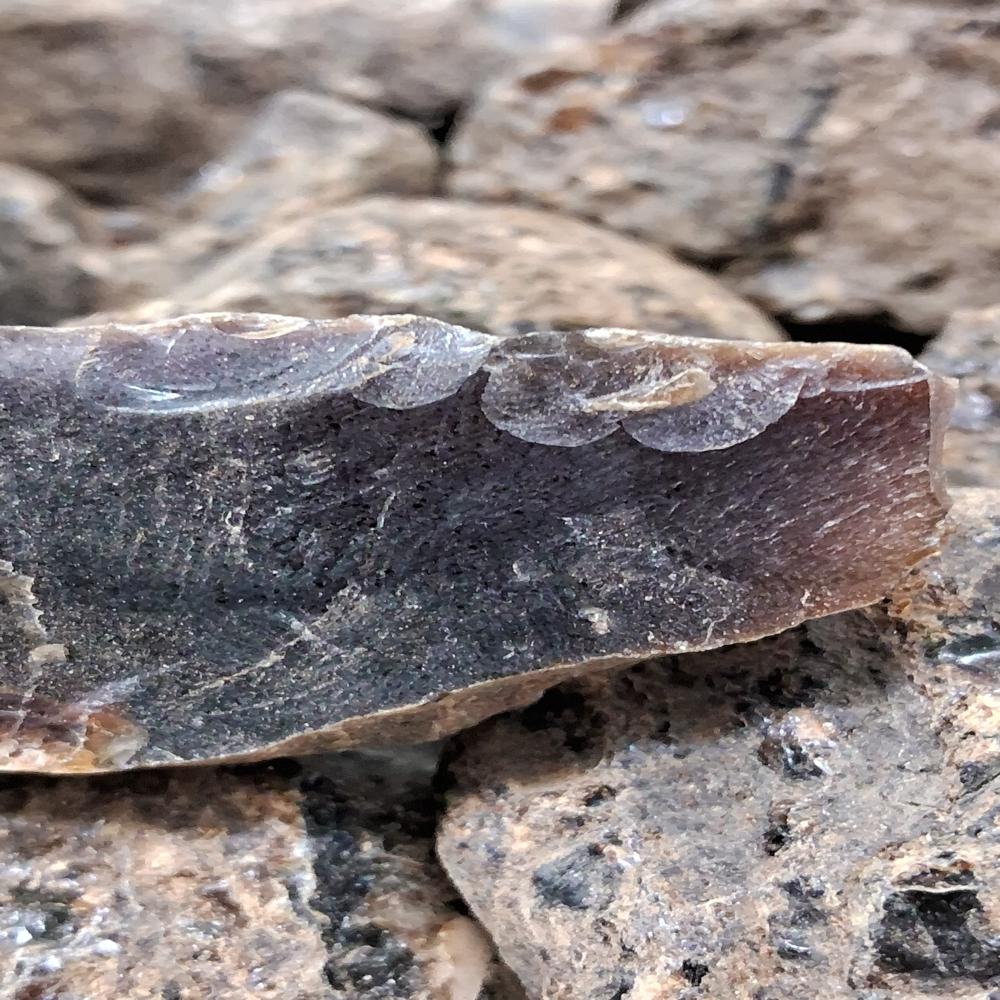 Natural Amber Raw Stone