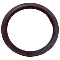 Oil Seal