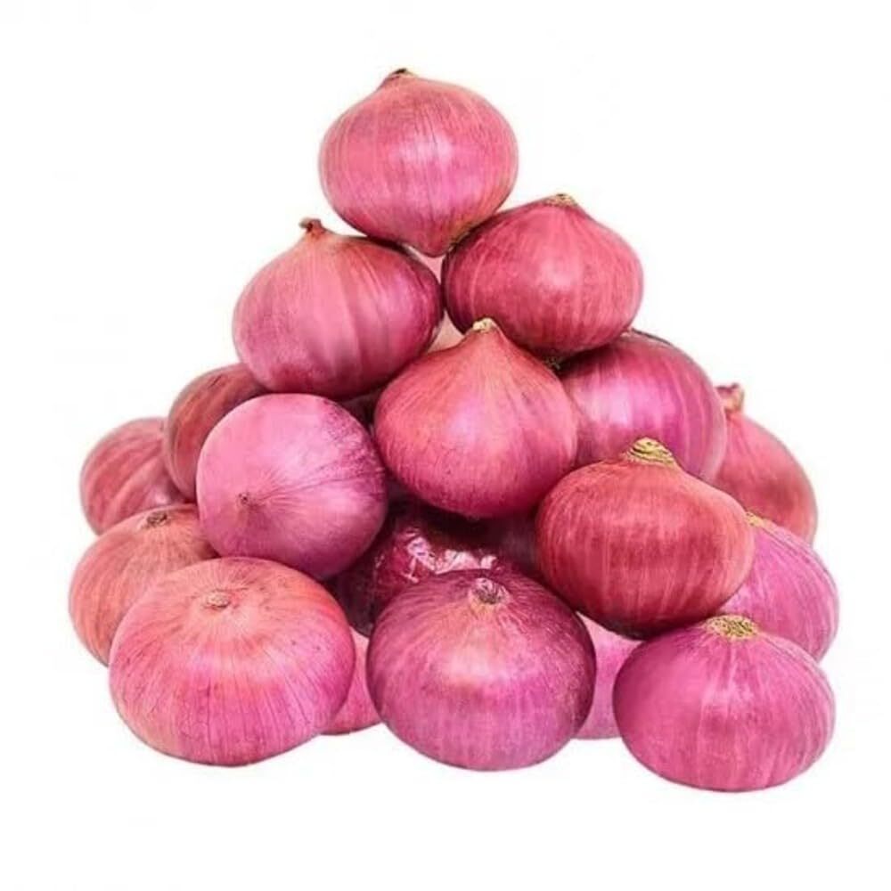 Red Onion - Cultivation Type: Common