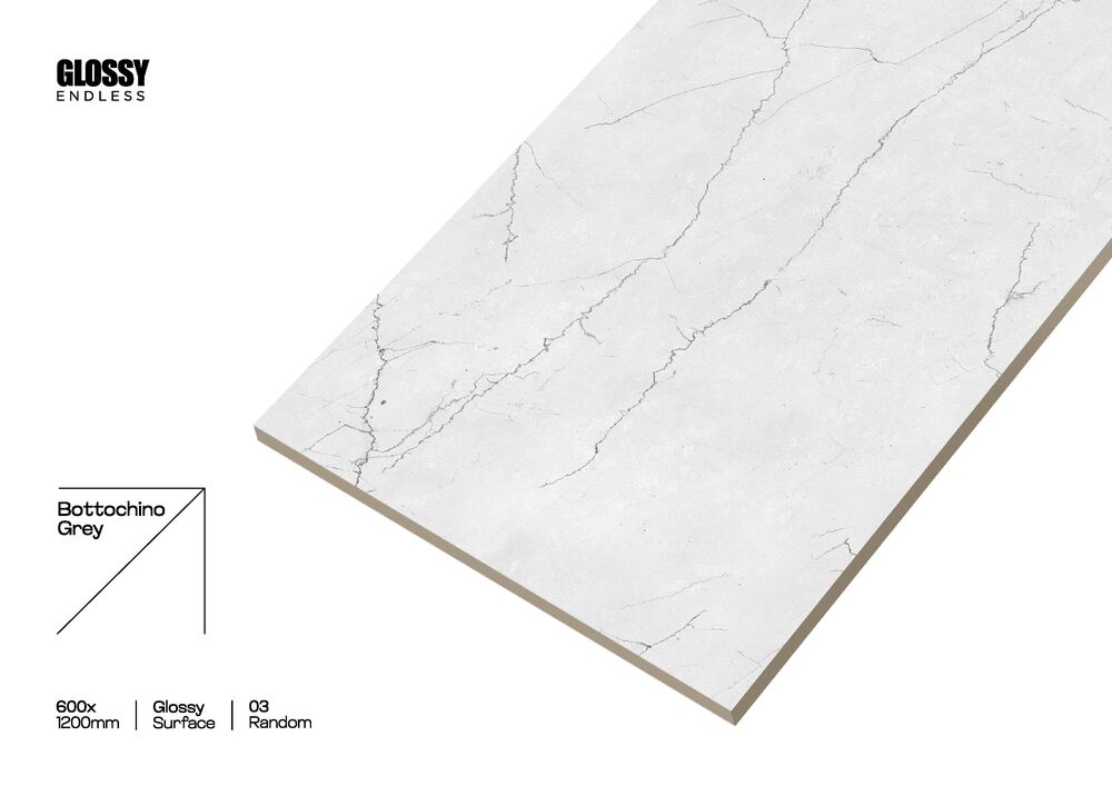 Glossy Floor Tiles