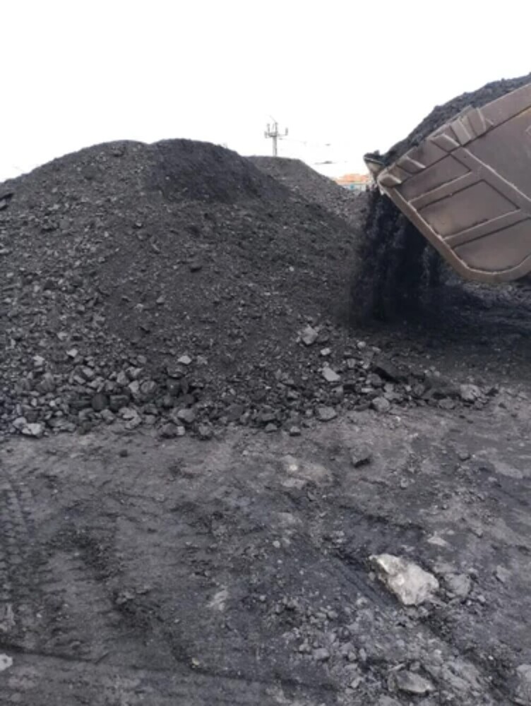 Domestic Coal