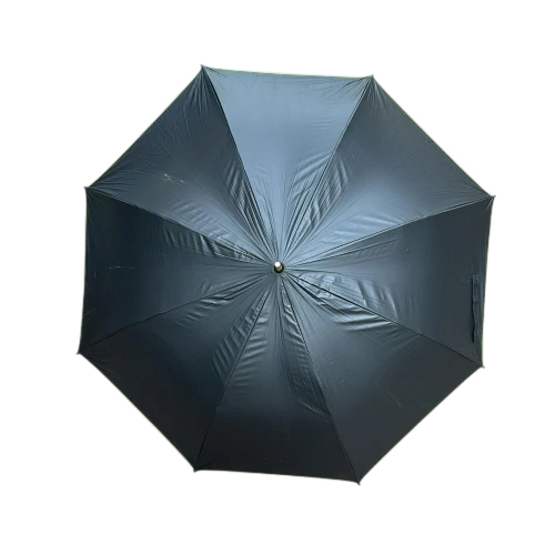 Rainy Season Umbrella