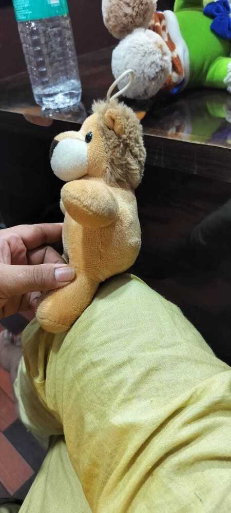 LION SOFT TOYS