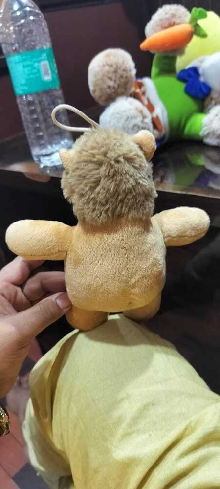 LION SOFT TOYS