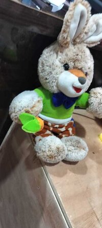 BUNNY RABBIT  HOLDING A CARROT