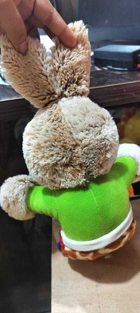 BUNNY RABBIT  HOLDING A CARROT