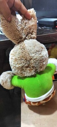 BUNNY RABBIT  HOLDING A CARROT