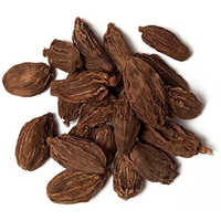 Organic Black Cardamom - Moisture (%): 5%