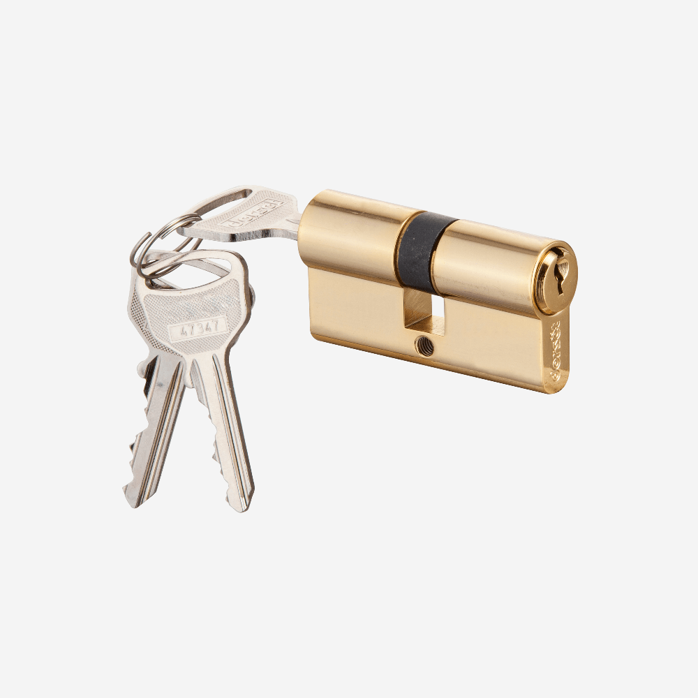 Euro Cylinder locks