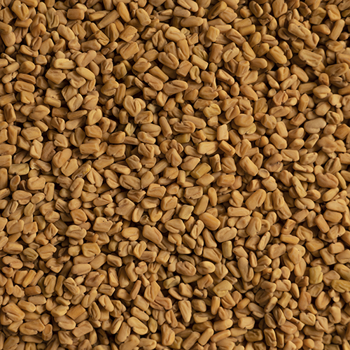 Fenugreek Seeds