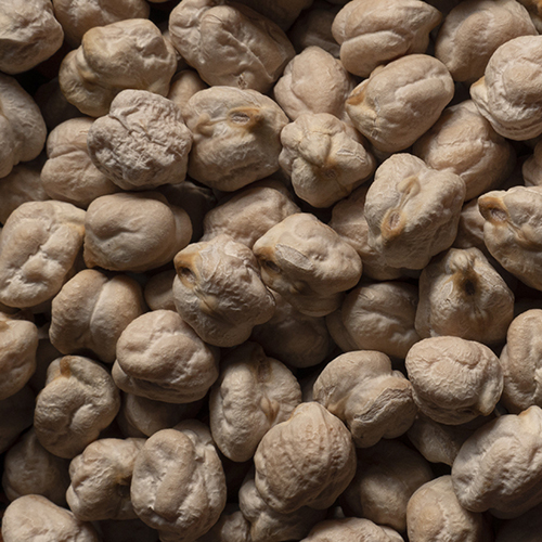 White Chickpeas