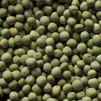 Green Peas