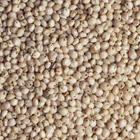 Sorghum Millet