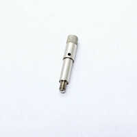 Brass Plug