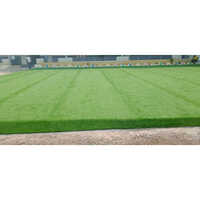 Football Court