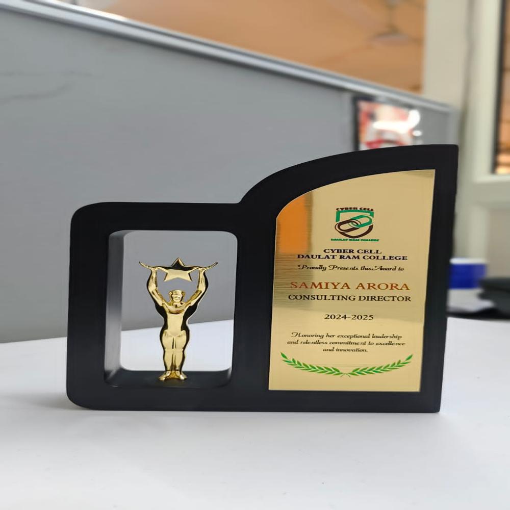 Metal Trophy - Color: Various Colors