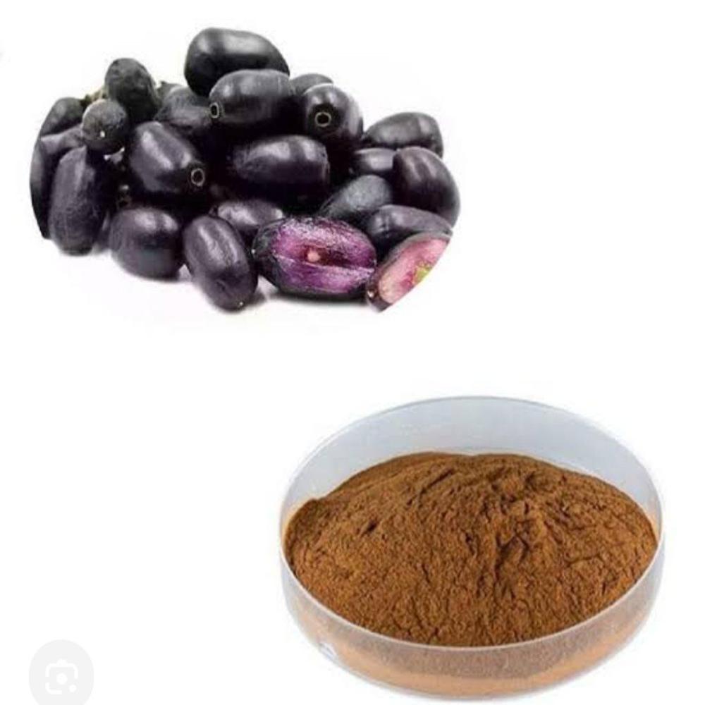 Jamun Dry Extract - Color: Brown