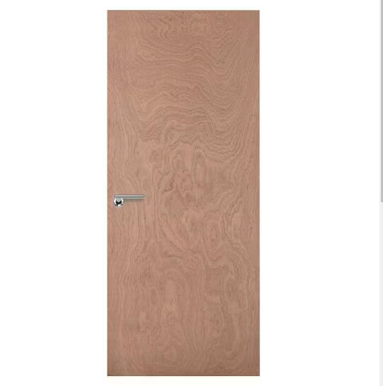 Flush Door
