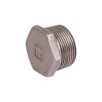 Metal Pipe Plug