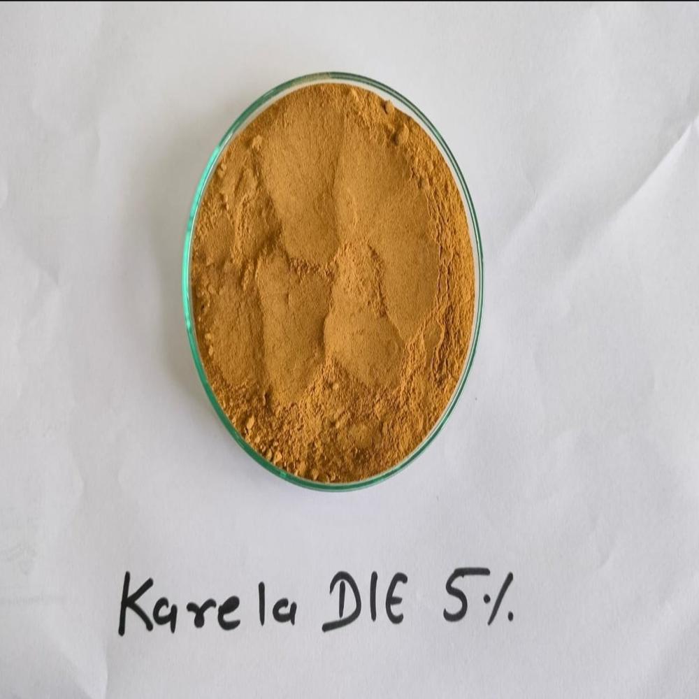 Karela Extract Powder - Color: Brown