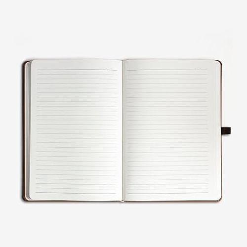 Grey 2 In 1 Sr 201 Diary Pen - Color: Black