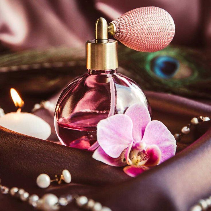 velvet fragrance
