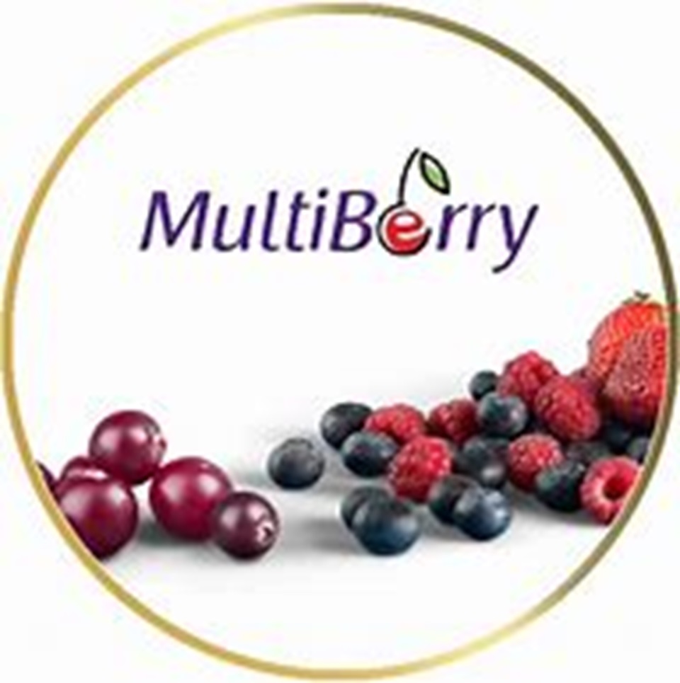 Zesto Syrup - MultiBerry