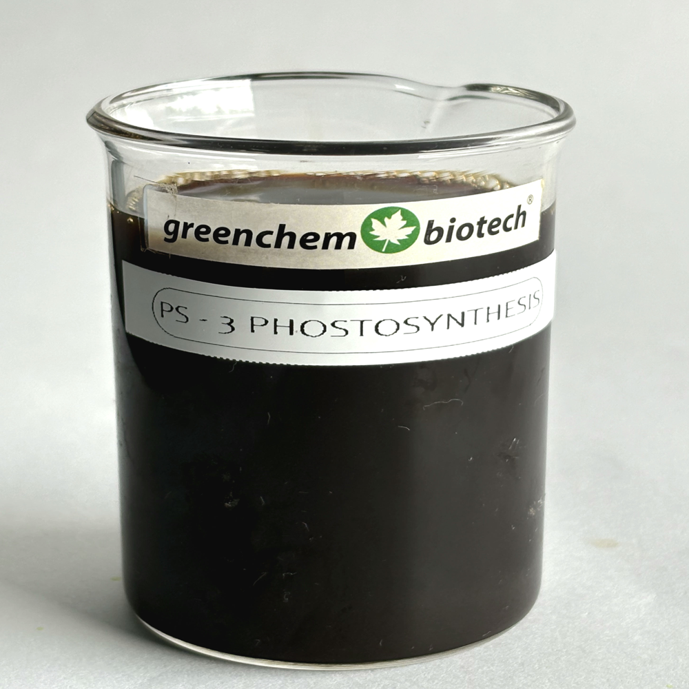 Liquid Biostimulant - 50 Litre, Brown, 99% Purity, Soluble In Water, Controlled Release, For Vegetable Crops