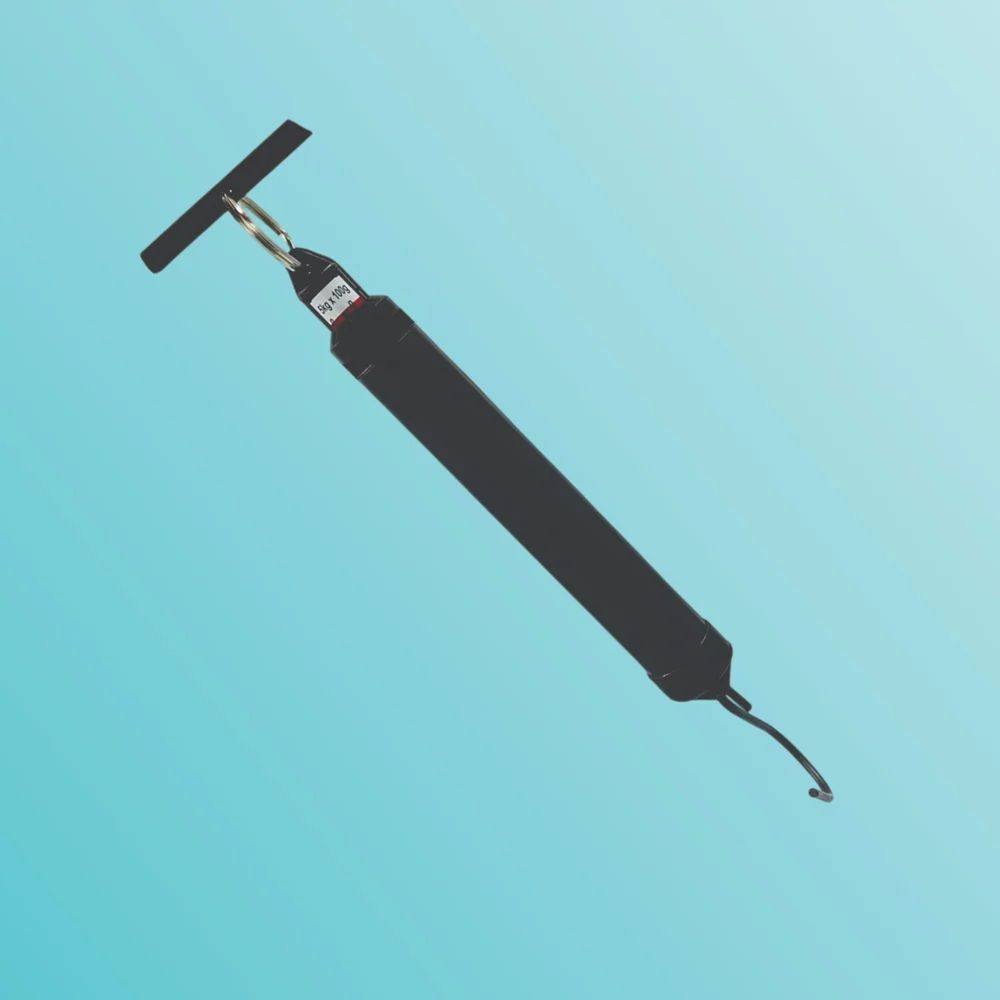 Manufacturer of Mechanical Hanging Weighing Scale