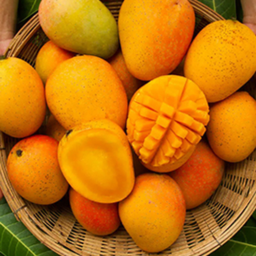 Fresh Mango - Color: Yellow