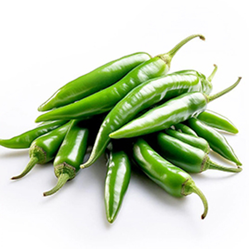 Green Chilli - Moisture (%): 85% A 90%