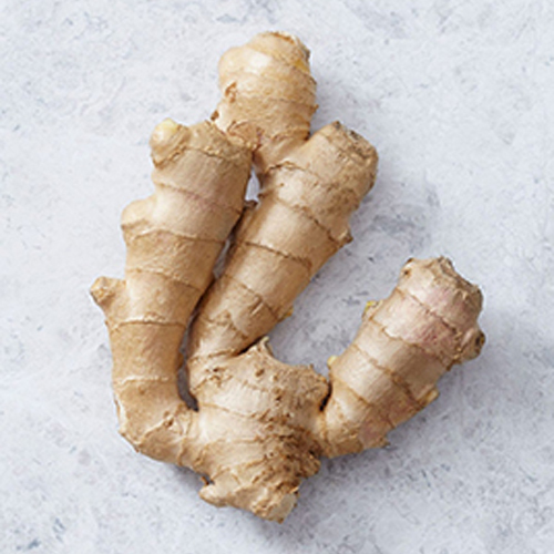 Fresh Ginger - Moisture (%): 85% A 90%