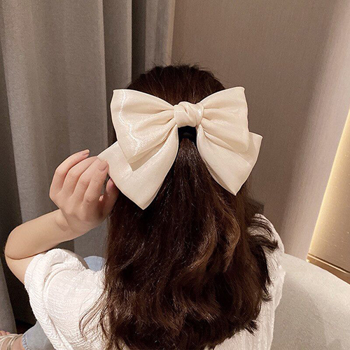 Beautiful Hair Bow